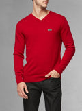 Men's basic v-neck sweater
