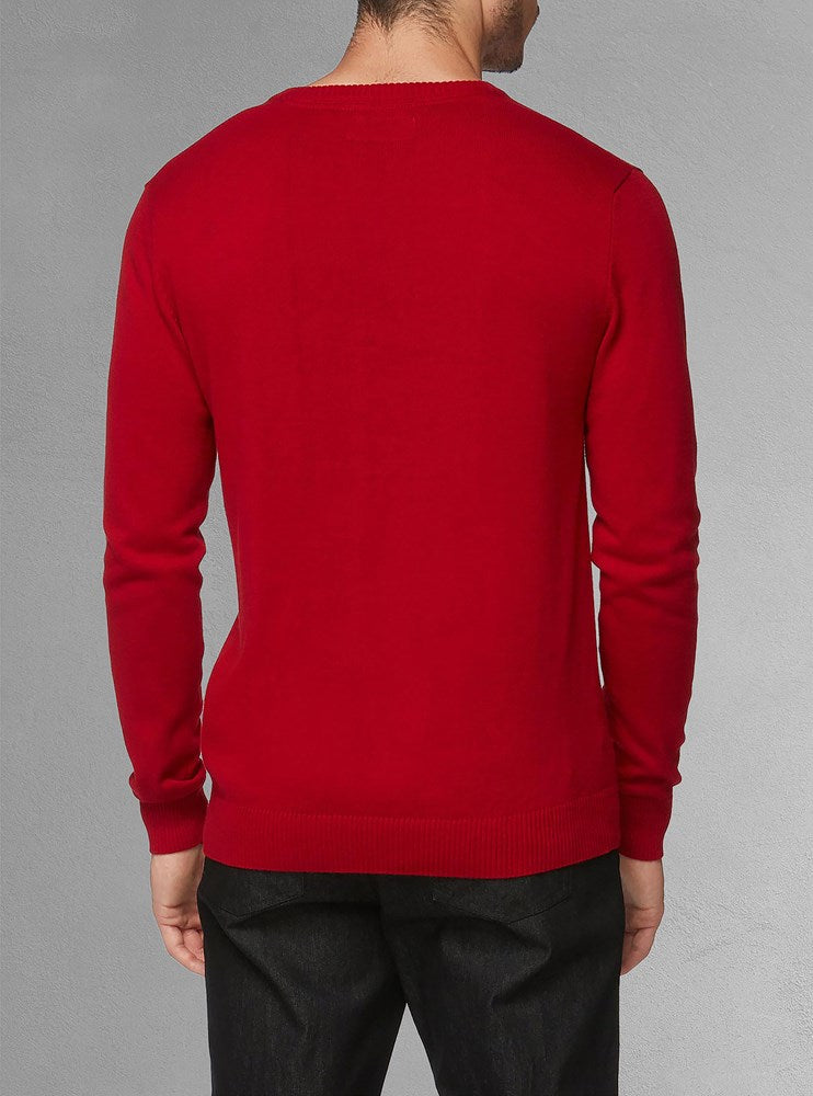 Men's basic v-neck sweater