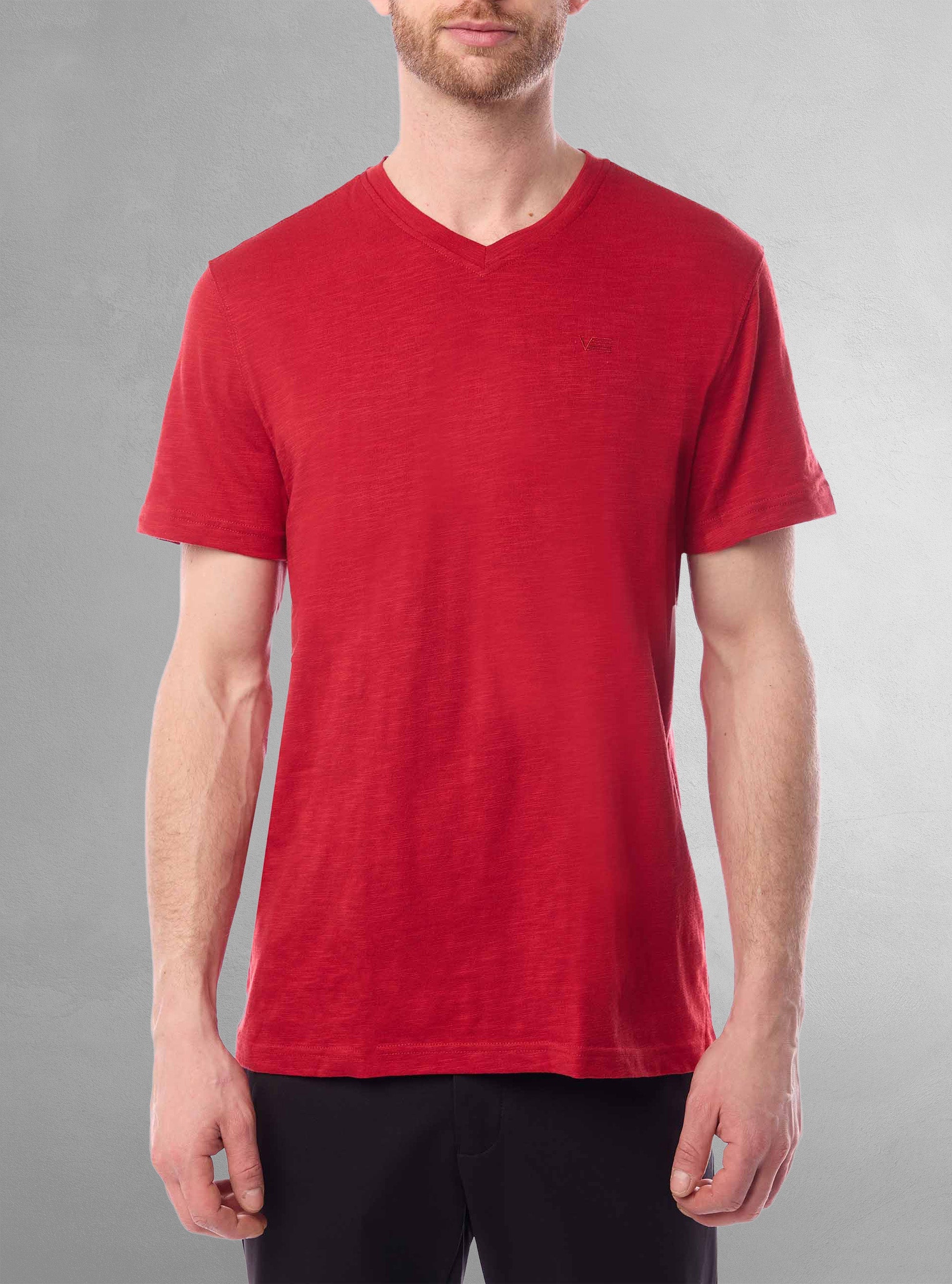 Men's basic v neck short sleeve t-shirt